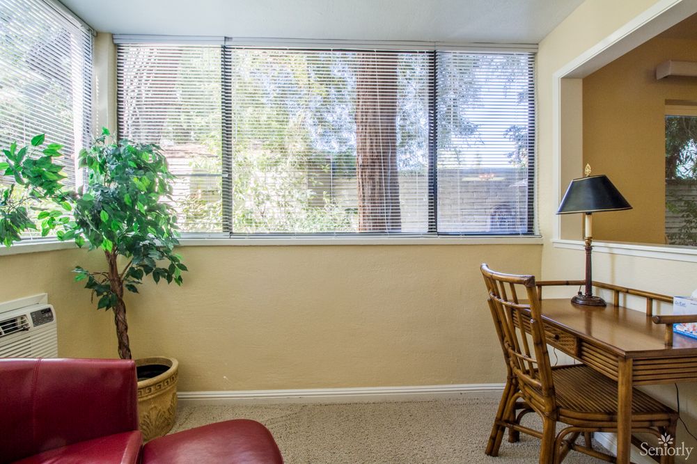 A cozy office space with a desk and chair by a large window, featuring a potted plant and ample natural light.