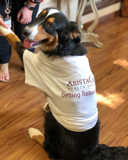 A cheerful dog wearing a shirt that says 'Getting Better' is enjoying some indoor time.