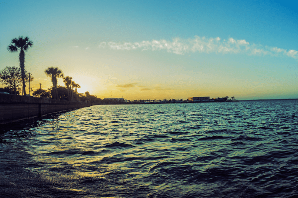 A tranquil sunset over the ocean with palm trees lining the shore.