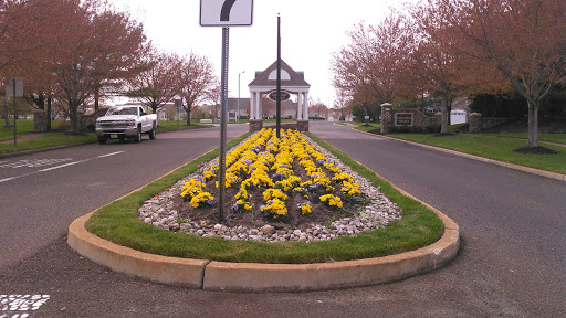 A beautifully maintained roundabout featuring vibrant yellow flowers.