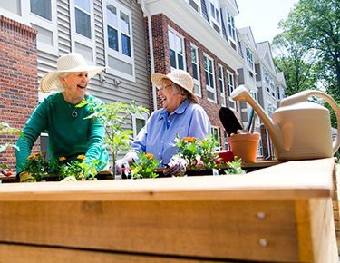 Two people enjoying gardening together in a community garden.
