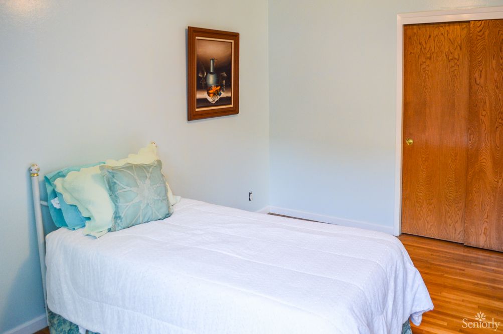 A minimalist bedroom with a single bed, adorned with cushions and a framed picture on the wall.