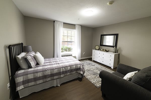 A modern, minimalist bedroom with a gray color scheme featuring a neatly made bed, a dresser with a mirror above it, and a window bringing in natural light.