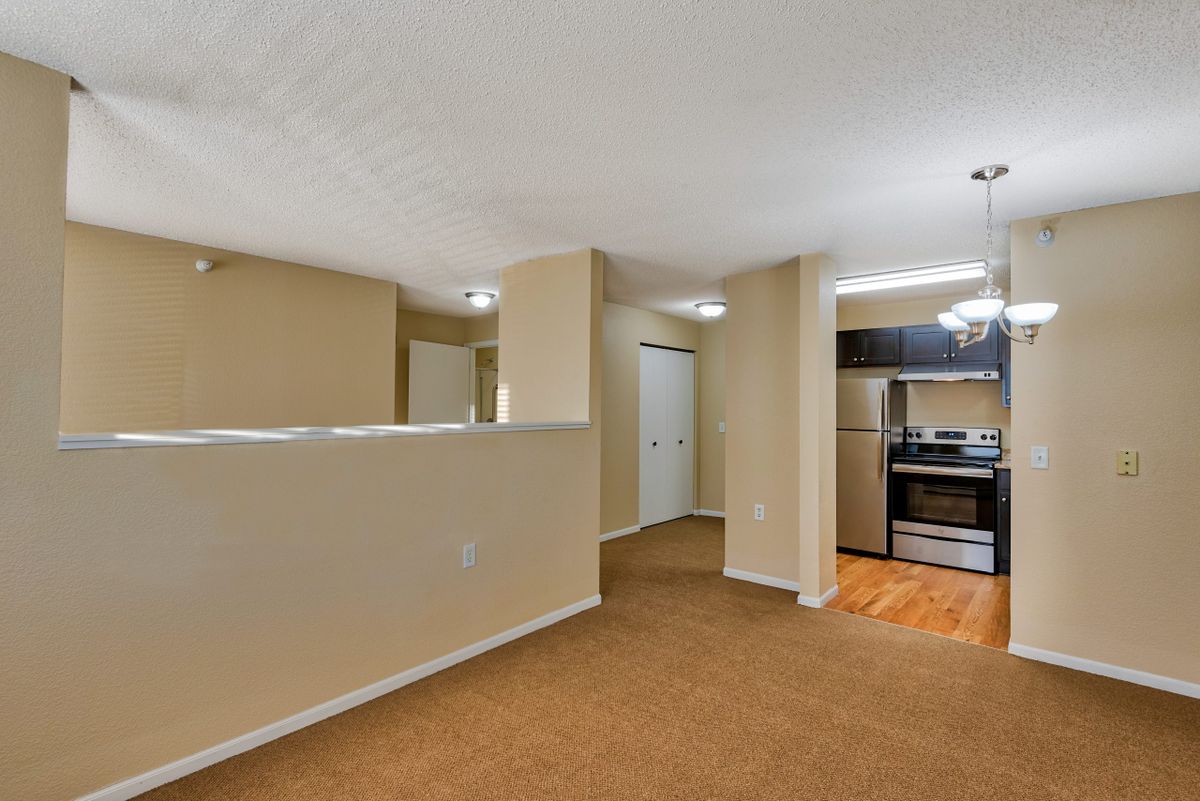 An open concept apartment featuring a kitchen with stainless steel appliances and a living area with carpeted floors.