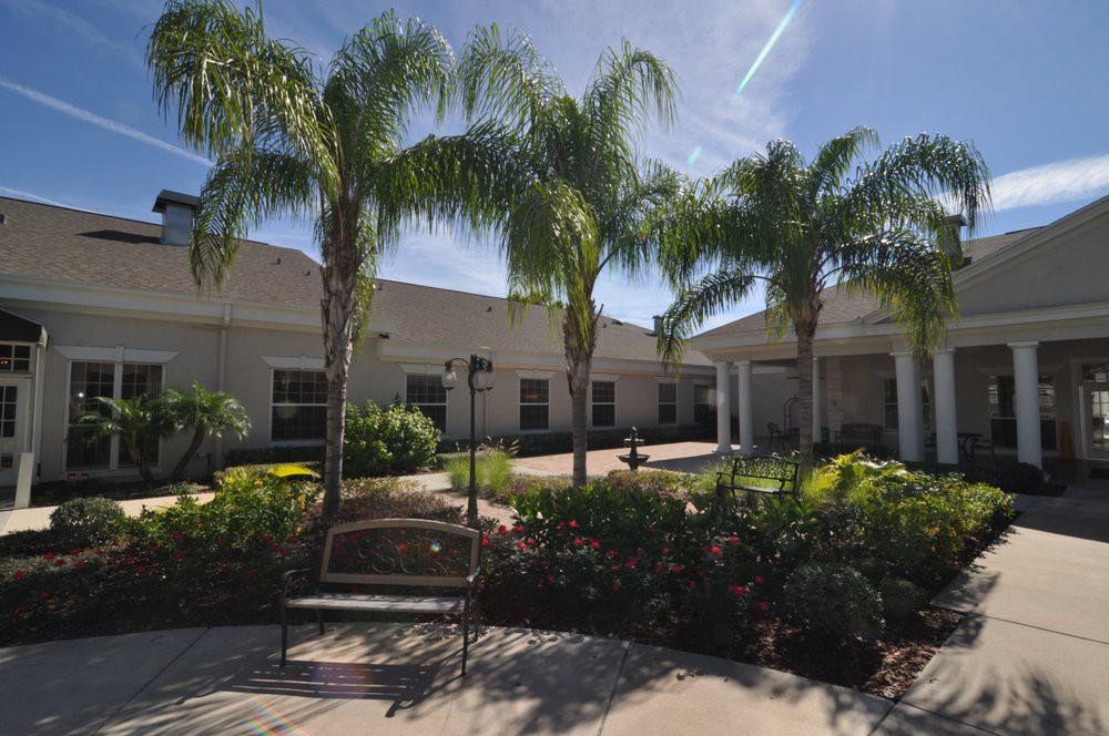 A sunny garden area with palm trees and a building in the background.