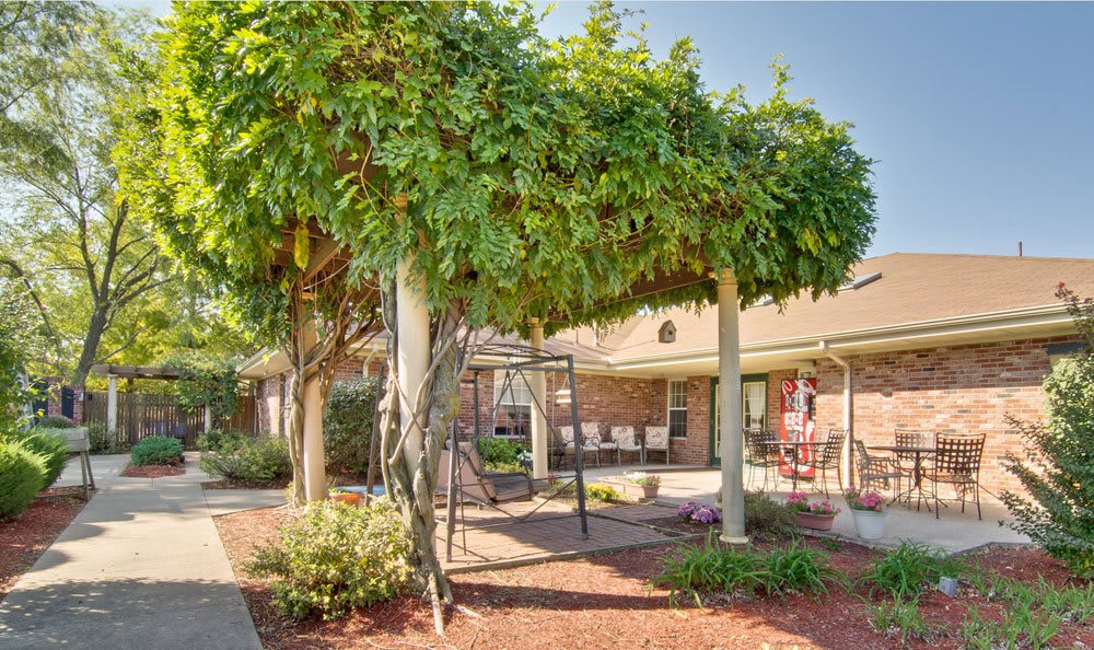A tranquil outdoor garden area with a swing under lush greenery and vines.