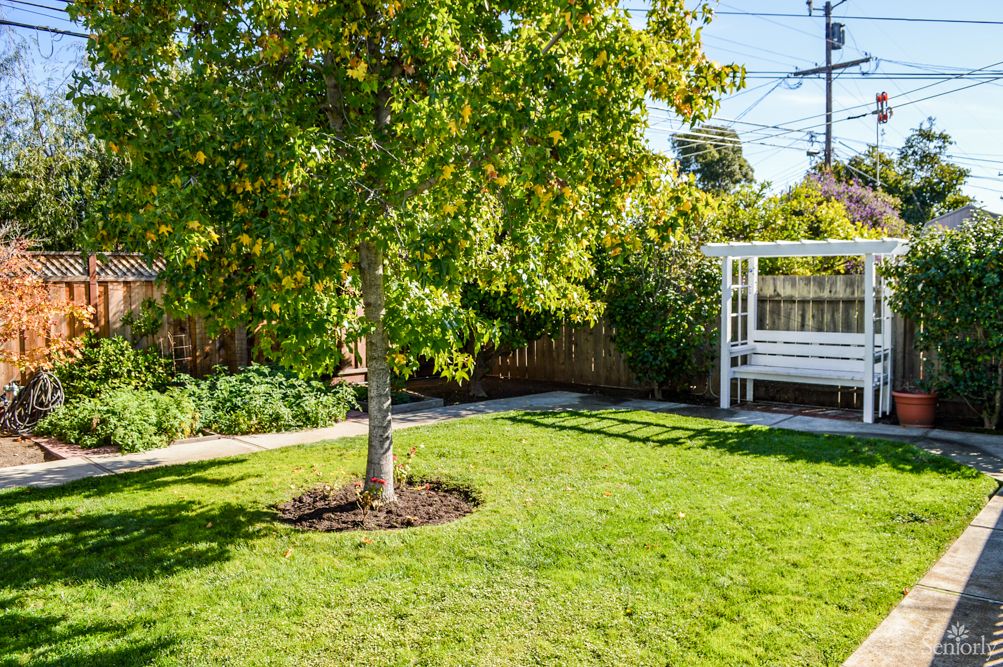 A peaceful backyard garden with a tree, green lawn, and a white swing.