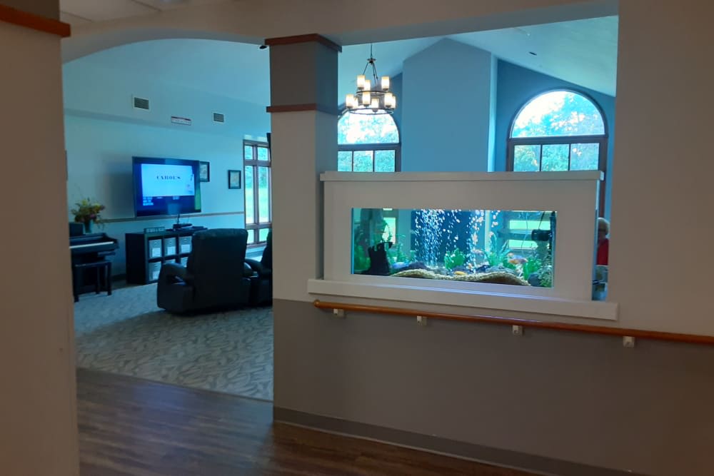 A cozy living room featuring a large aquarium built into a partition wall, with comfortable seating and a television in the background.
