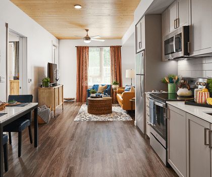 A modern open-concept living space with a bright kitchen and cozy living area.