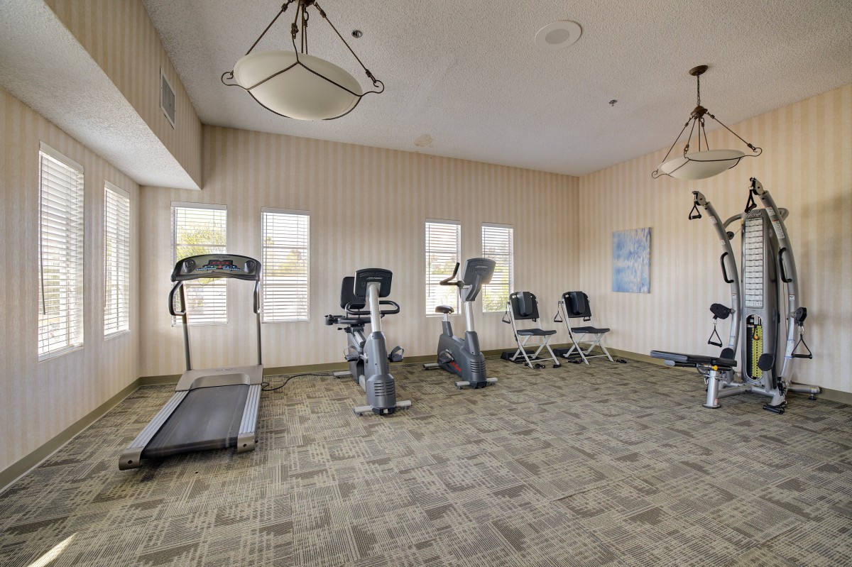 A small indoor gym with a treadmill and exercise bikes.