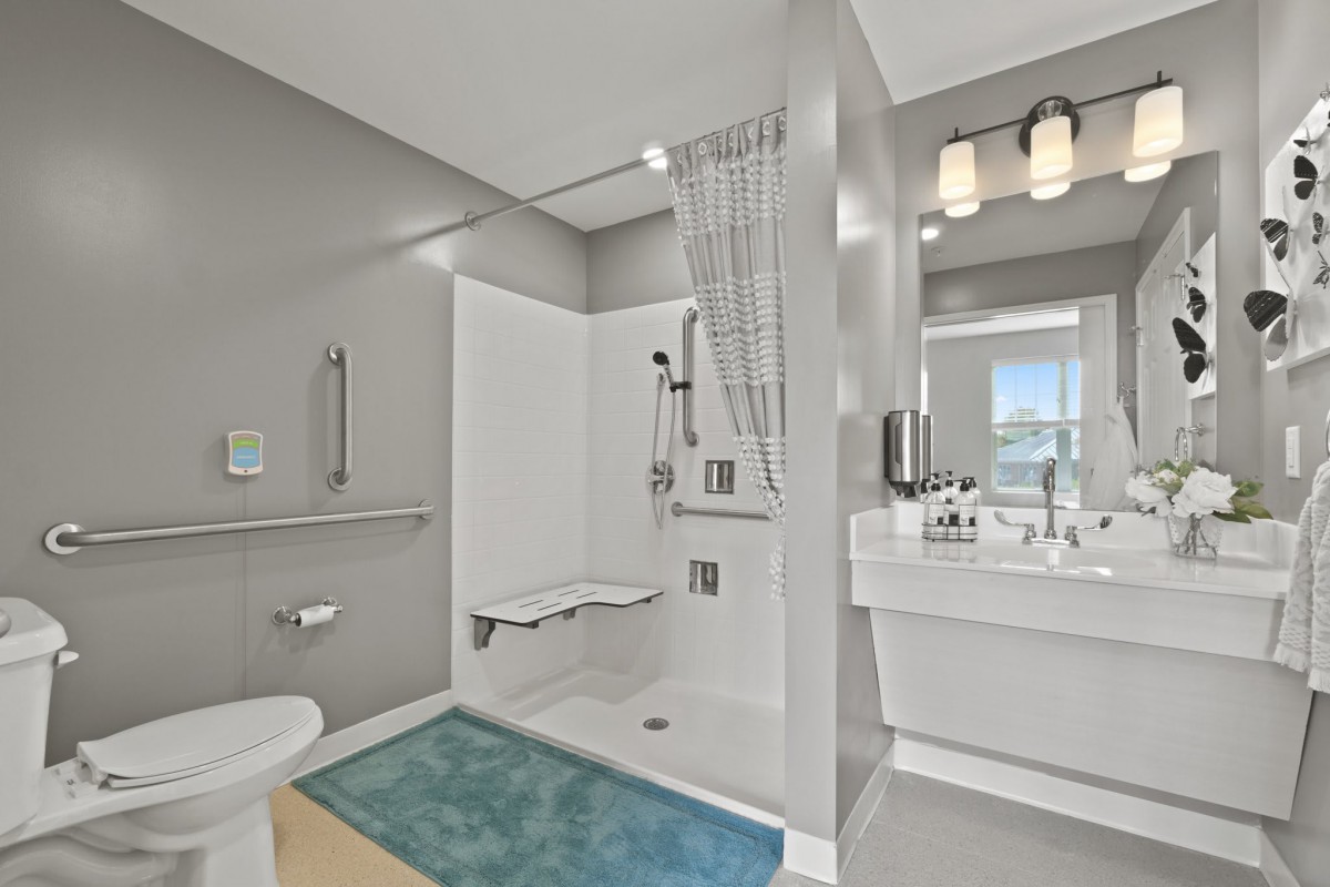 A modern, accessible bathroom featuring a walk-in shower with safety grab bars and a sleek sink area.