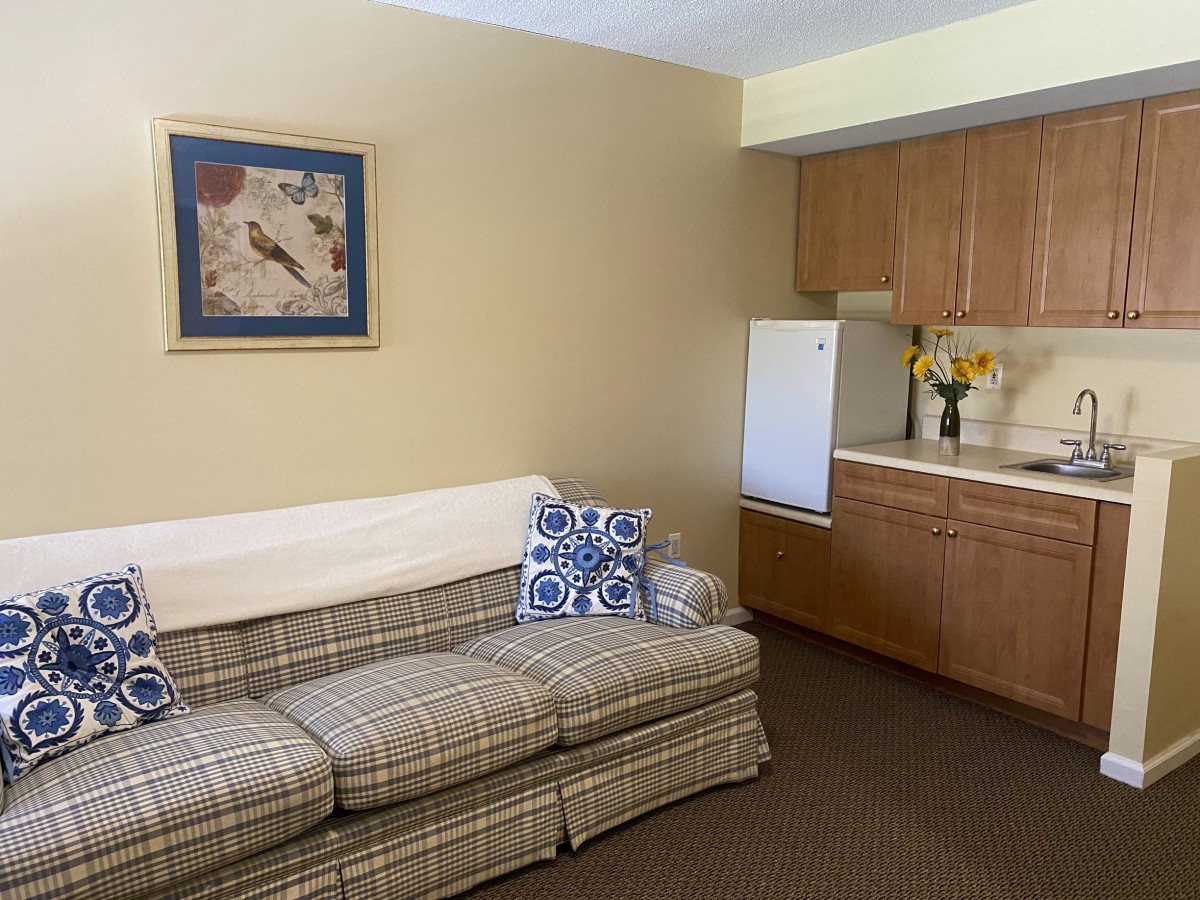 A cozy living area with a patterned sofa, cushions, and a small kitchenette featuring wooden cabinets and a fridge. A piece of artwork hangs on the wall above the sofa.