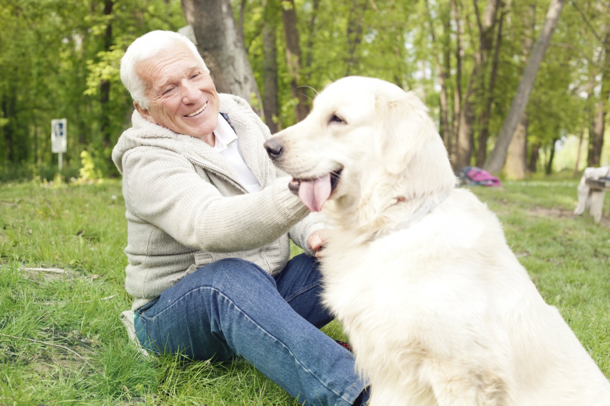 An elderly man sitting in a park, happily petting his dog.
