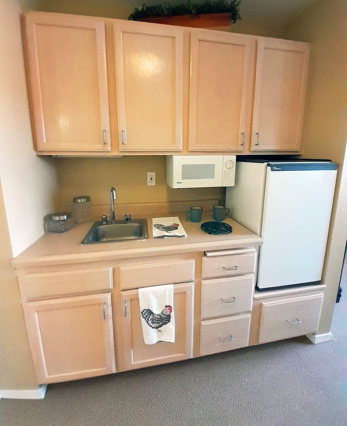 A compact kitchenette featuring wooden cabinets, a small sink, a microwave, and a mini fridge.