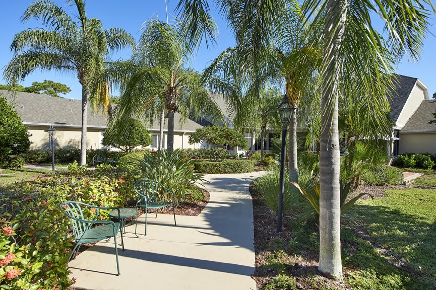 A sunny pathway lined with palm trees and benches in a landscaped garden.