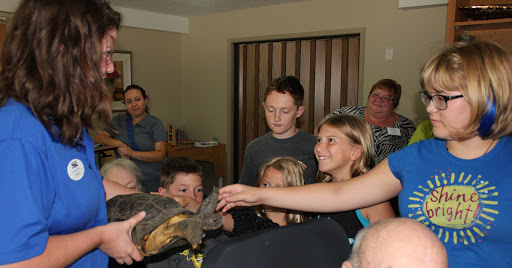 A group of children excitedly interacting with a turtle during an educational session.
