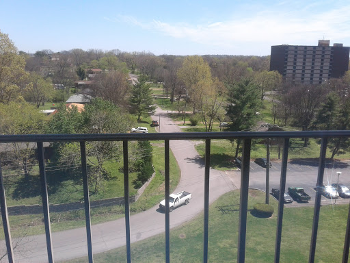 A serene view from a balcony overlooking a park with trees and winding roads.