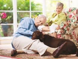 An older couple enjoying a relaxing moment with their dog in the living room.