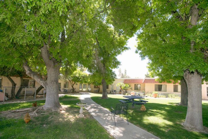 A peaceful outdoor scene with a pathway, surrounded by lush trees and buildings.