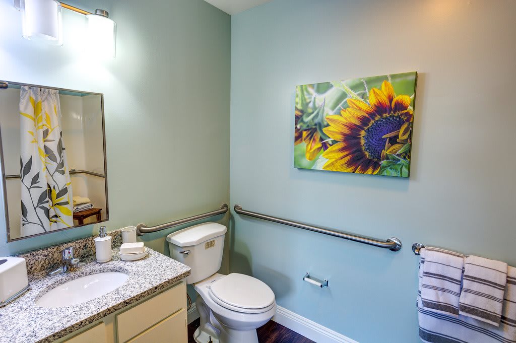 A brightly lit bathroom with a sunflower painting on the wall and a handrail beside the toilet.