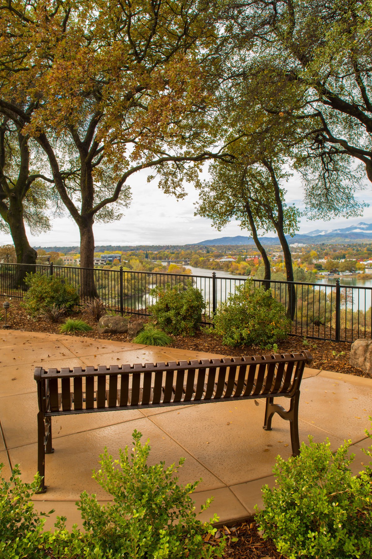 A peaceful park bench overlooking a scenic river, surrounded by trees.