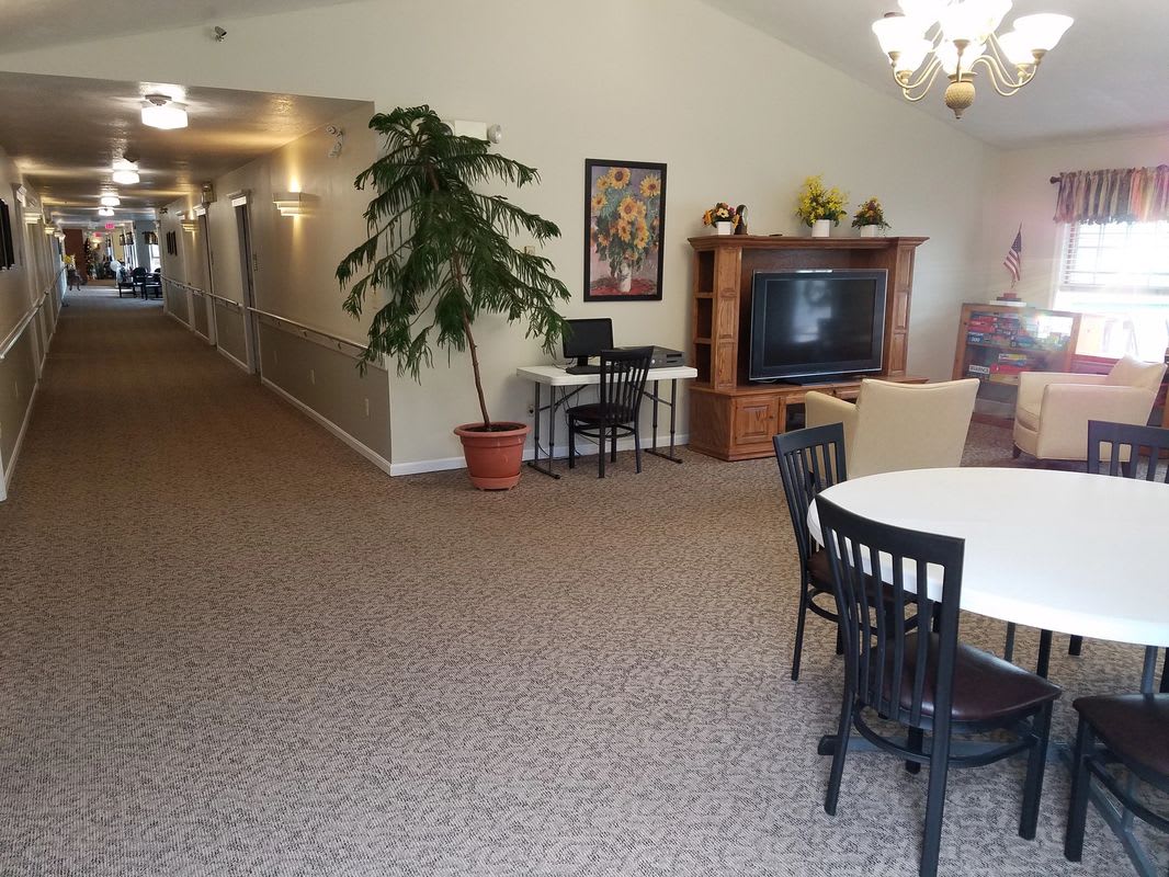 A cozy living area with a television, dining table, chairs, and a potted plant near a hallway.