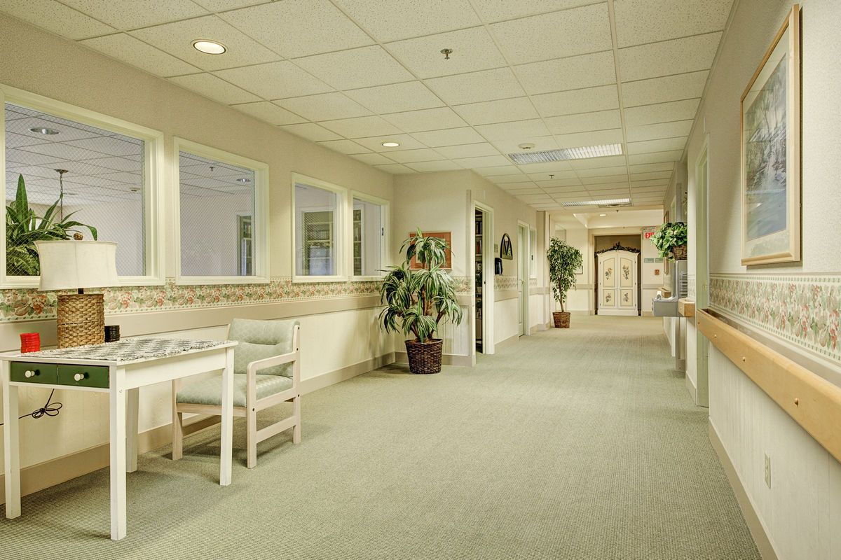 A brightly lit hallway with plants and seating areas.