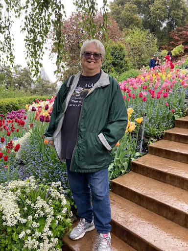 A man enjoying a stroll through a vibrant flower garden filled with colorful tulips.