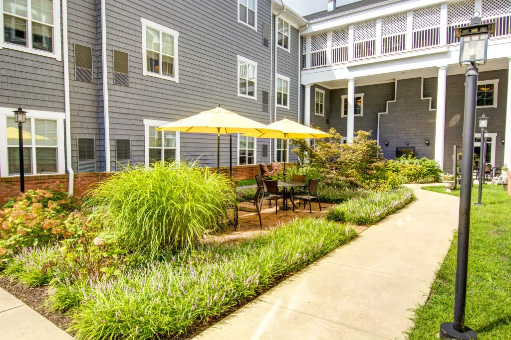 A landscaped outdoor patio area with yellow umbrellas and benches, adjacent to a building.