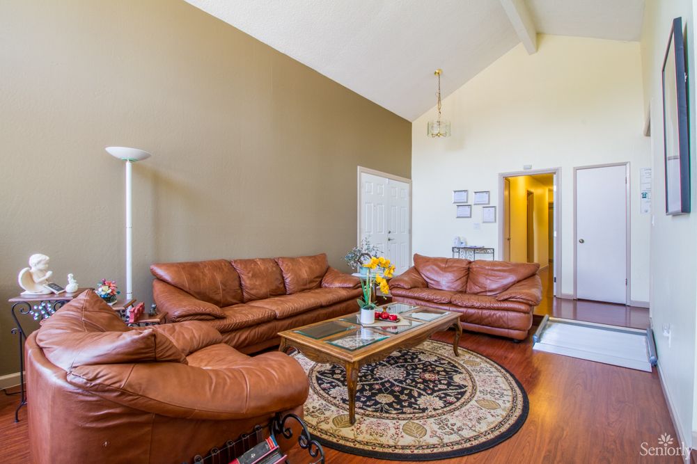 A cozy living room featuring leather sofas and a decorative coffee table on a circular rug.