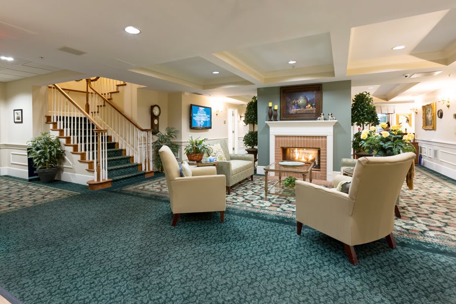 A cozy living room with a fireplace, comfortable seating, and decorative plants.