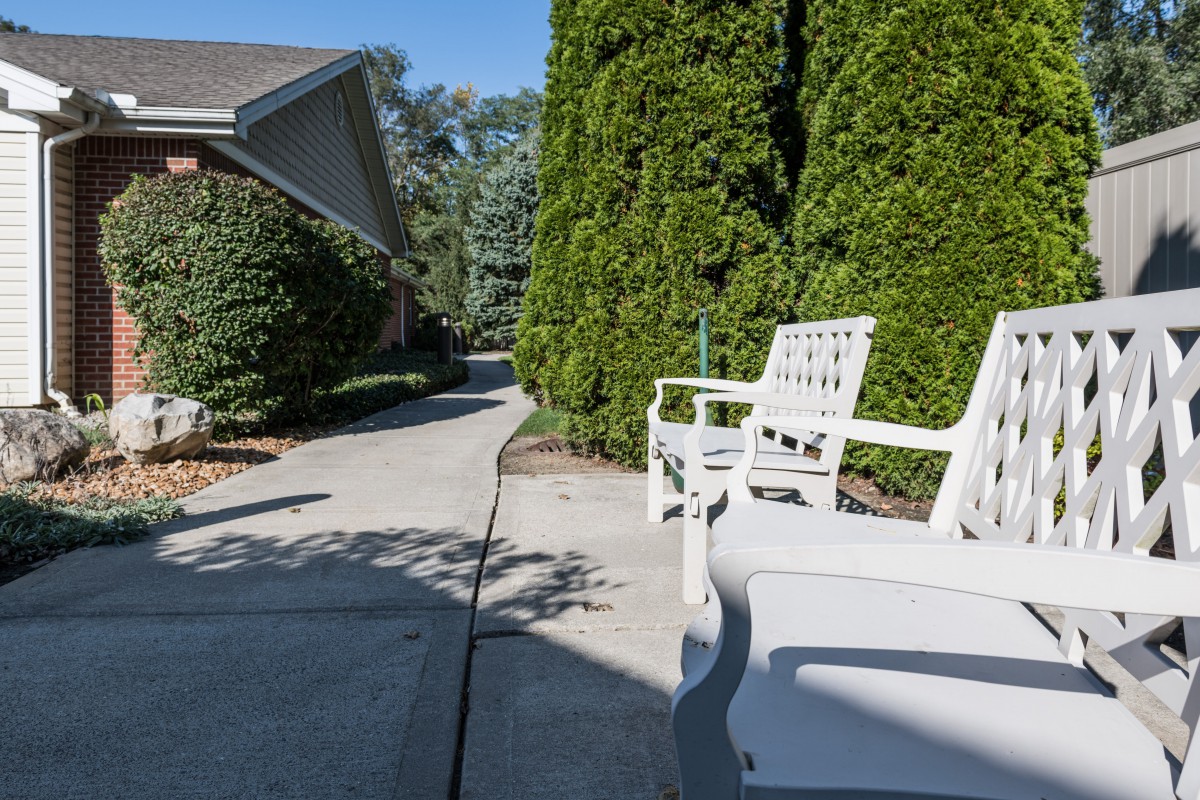 A sunny garden path lined with greenery and white benches.