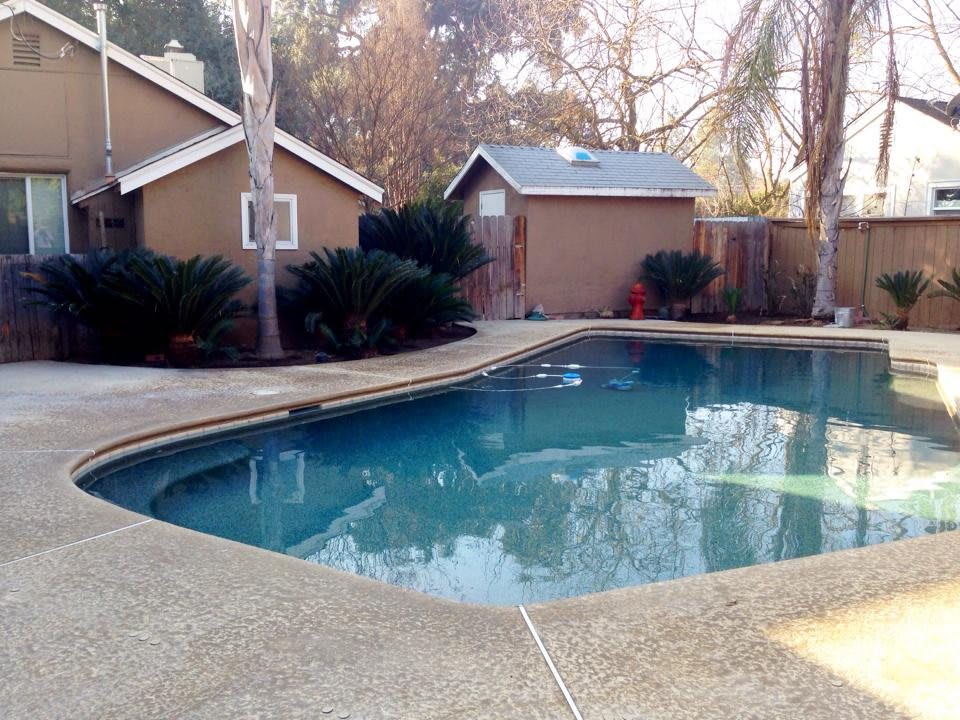 A serene backyard with a swimming pool and surrounding trees.