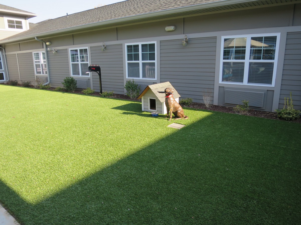 A dog near a small doghouse in a sunny backyard with green grass.