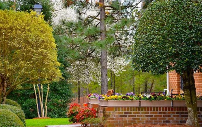 A beautiful garden landscape featuring a variety of trees and colorful flowers bordered by a brick wall.