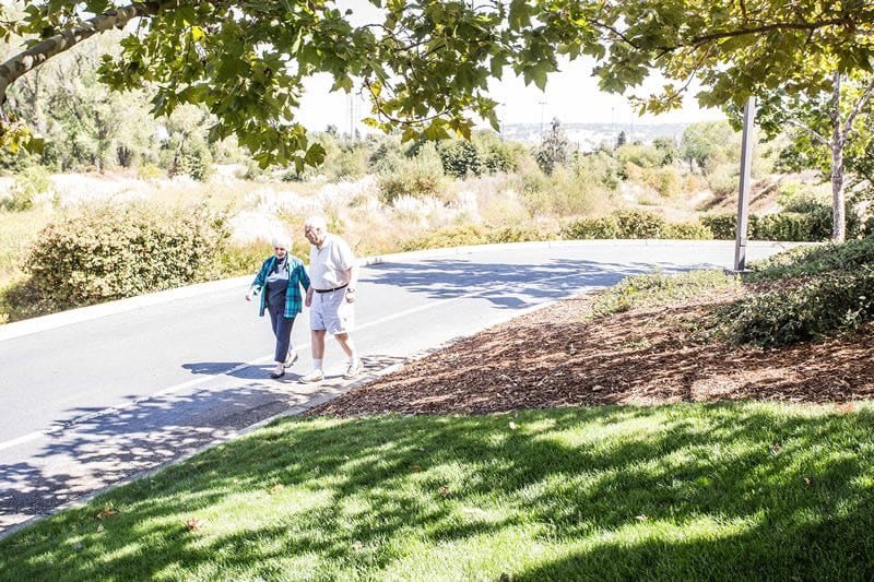 An elderly couple enjoys a sunny walk in the park.