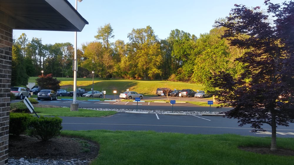 A parking lot with several cars is surrounded by lush green trees and grass under the warm sunlight.