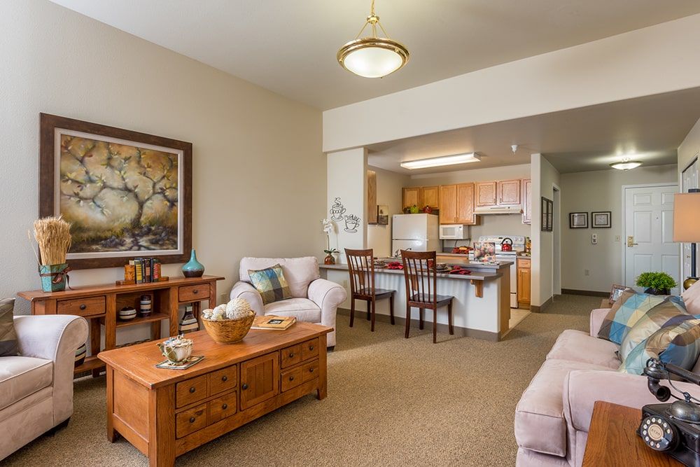 A cozy open-plan living room and kitchen with comfortable furnishings and decorative elements.