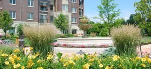 Waterford Place