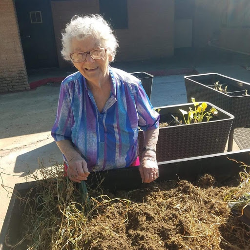 An elderly woman enjoying her time gardening in the sunlight.
