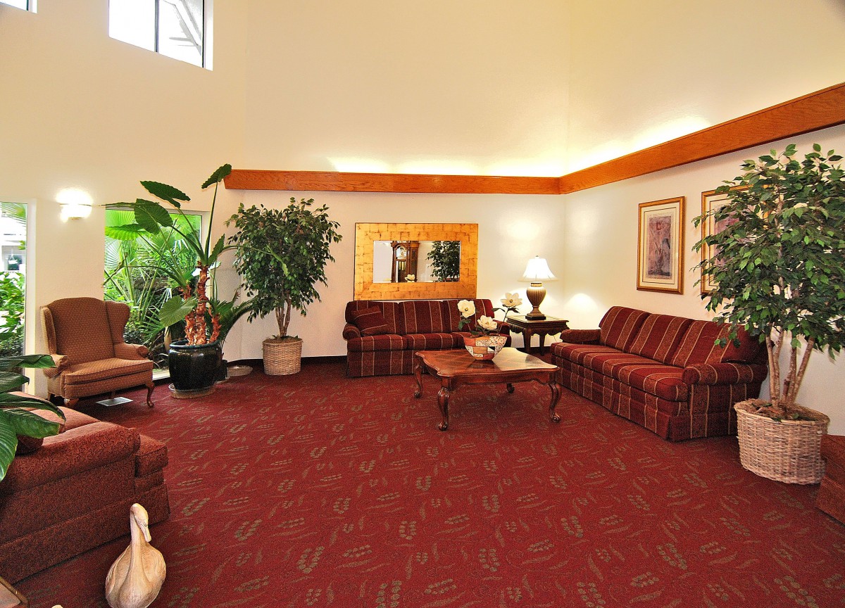 A cozy hotel lobby with comfortable seating, lush plants, and warm lighting.
