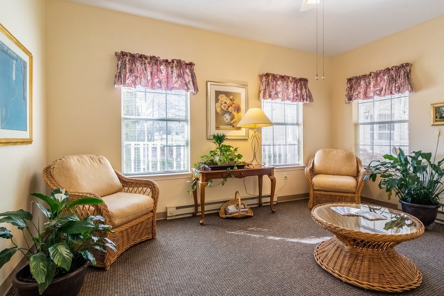 A cozy living room with rattan furniture and decorative plants, featuring large windows and floral curtains.