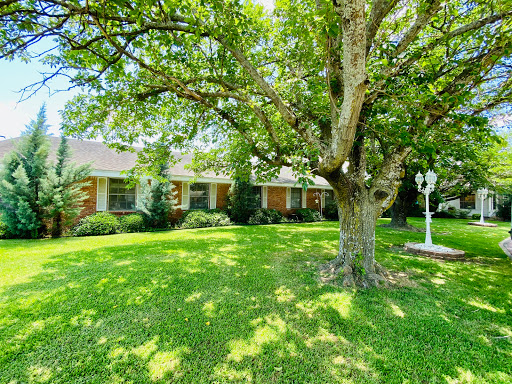 A charming house with a lush green lawn and a large tree providing shade.