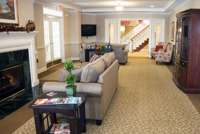 A cozy living room area featuring sofas, a television, and decorated with plants.