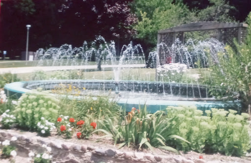A tranquil garden scene featuring a beautiful fountain surrounded by vibrant flowers.