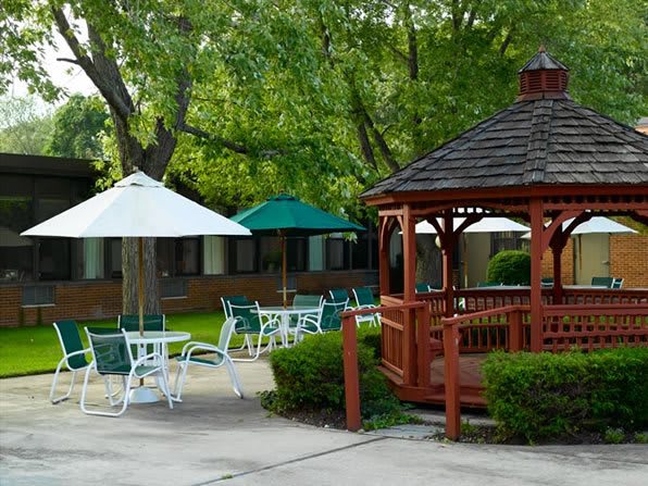 A serene outdoor setting featuring a wooden gazebo, patio furniture, and umbrellas surrounded by lush greenery.