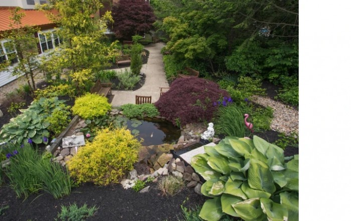 A beautifully landscaped garden with a variety of plants, a small pond, and winding pathways.