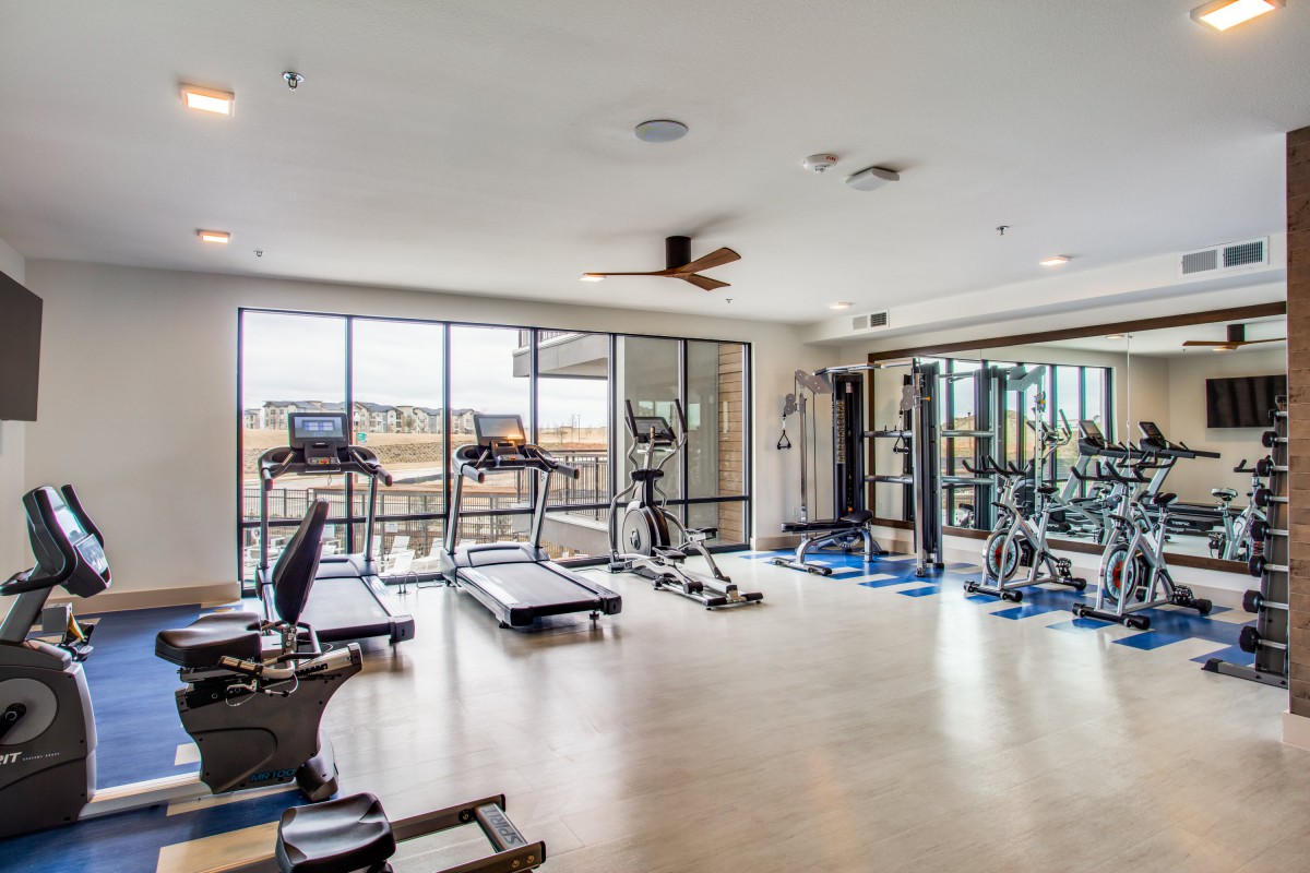 A modern gym with various exercise equipment including treadmills, a stationary bike, and weights.