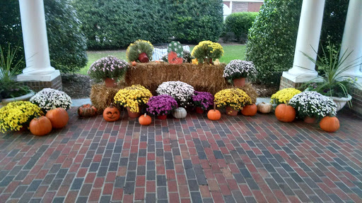 A beautiful autumn display featuring colorful mums, pumpkins, and hay bales.