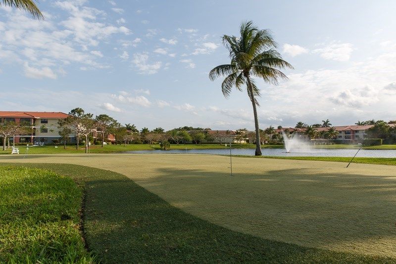 A tranquil golf course scene featuring a palm tree near a pond with a fountain in the background.